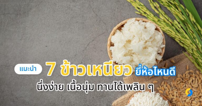 แนะนำ 7 ข้าวเหนียว ยี่ห้อไหนดี นึ่งง่าย เนื้อนุ่ม ทานได้เพลิน ๆ ปี 2023!