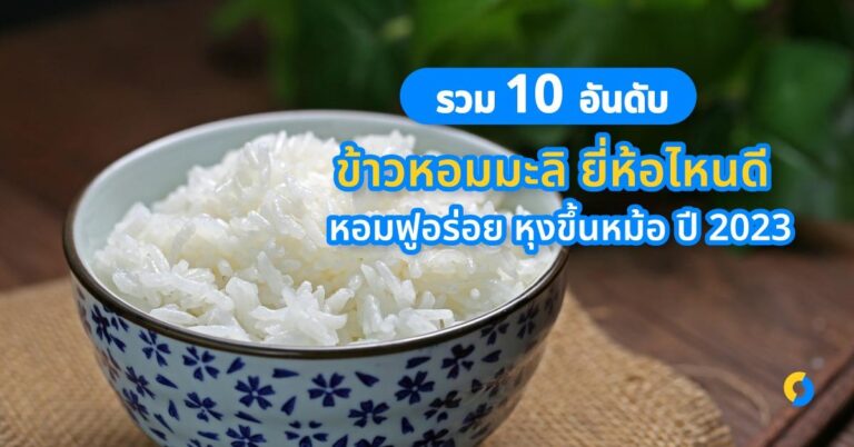 รวม 10 อันดับ ข้าวหอมมะลิ ยี่ห้อไหนดี หอมฟูอร่อย หุงขึ้นหม้อ ปี 2023!