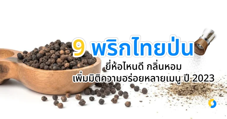 9 พริกไทยป่น ยี่ห้อไหนดี กลิ่นหอม เพิ่มมิติความอร่อยหลายเมนู ปี 2023