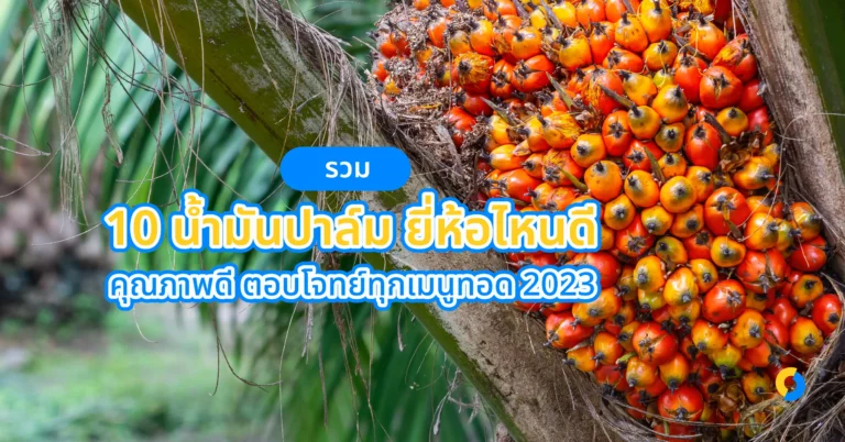 รวม 10 น้ำมันปาล์ม ยี่ห้อไหนดี คุณภาพดี ตอบโจทย์ทุกเมนูทอด 2023!