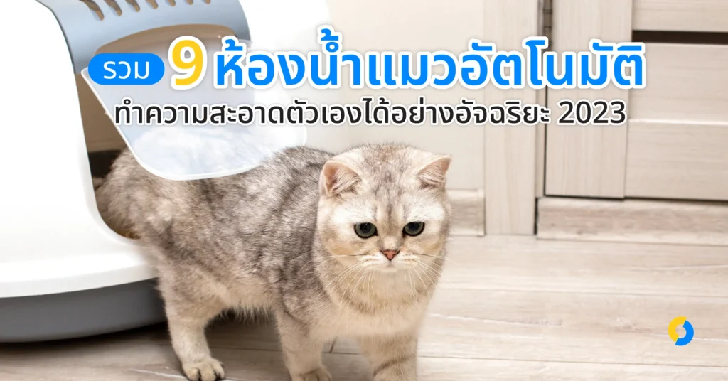 รวม 9 ห้องน้ำแมว อัตโนมัติ ทำความสะอาดตัวเองได้อย่างอัจฉริยะ 2023