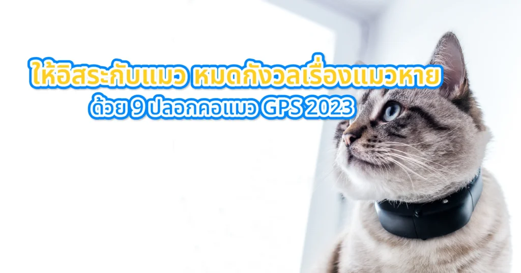 ให้อิสระกับแมว หมดกังวลเรื่องแมวหาย ด้วย 9 ปลอกคอแมว GPS 2023