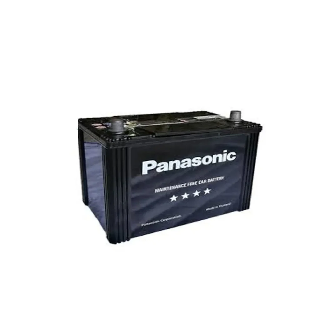 Panasonic รุ่น 100D31L