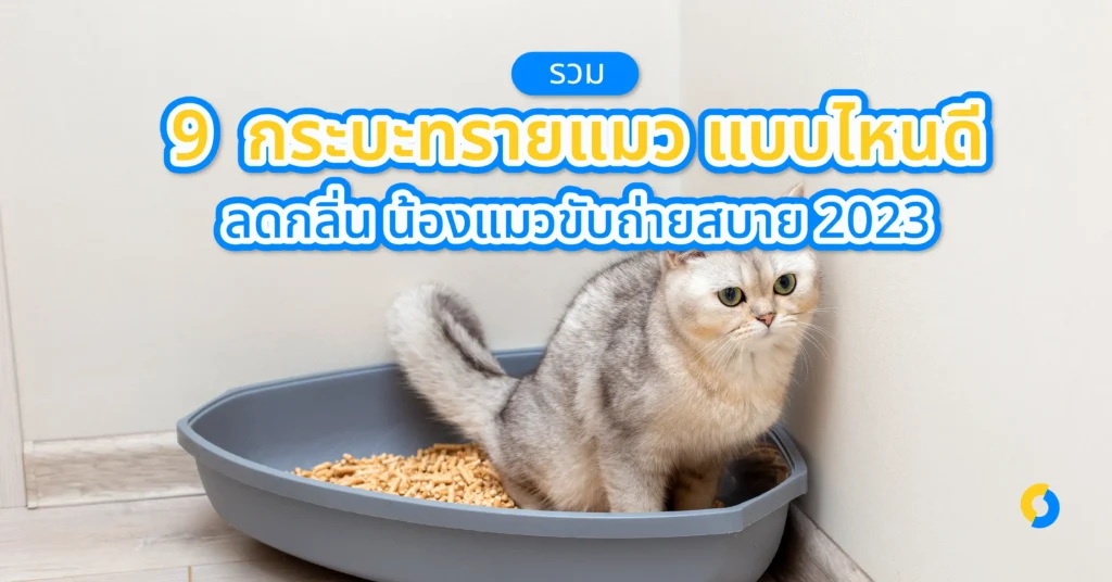 รวม 9 กระบะทรายแมว แบบไหนดี ลดกลิ่น น้องแมวขับถ่ายสบาย 2023