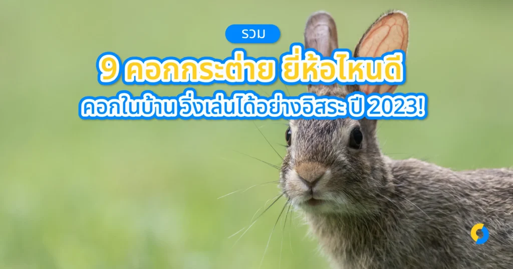 รวม 9 คอกกระต่าย ยี่ห้อไหนดี คอกในบ้าน วิ่งเล่นได้อย่างอิสระ ปี 2023!