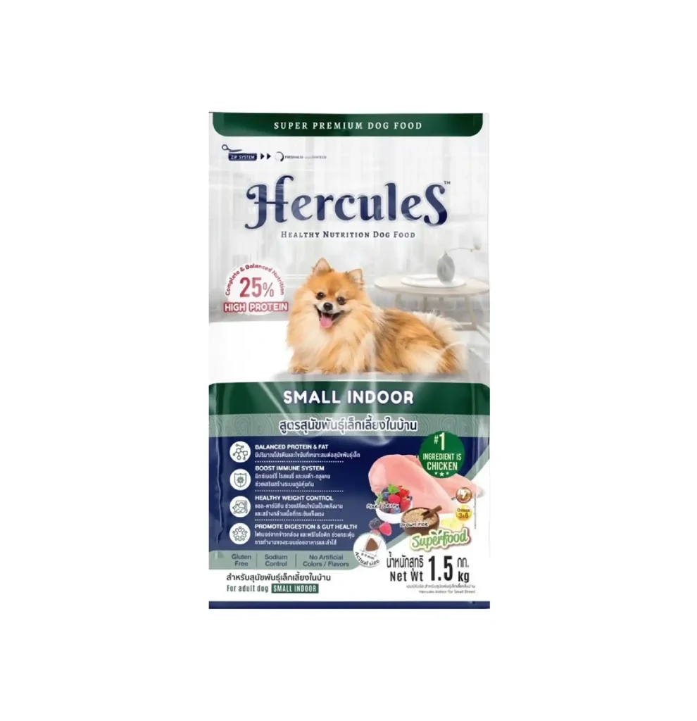 Hercules Small Indoor