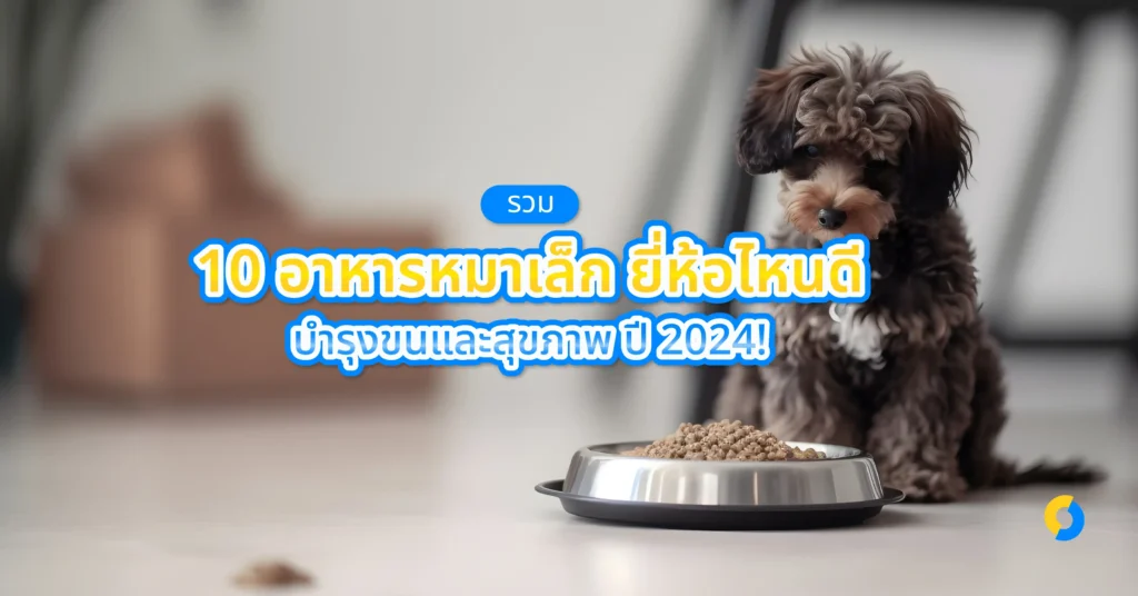 รวม 10 อาหารหมาเล็ก ยี่ห้อไหนดี บำรุงขนและสุขภาพ ปี 2024!