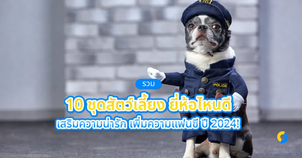 รวม 10 ชุดสัตว์เลี้ยง ยี่ห้อไหนดี เสริมความน่ารัก เพิ่มความแฟนซี ปี 2024!