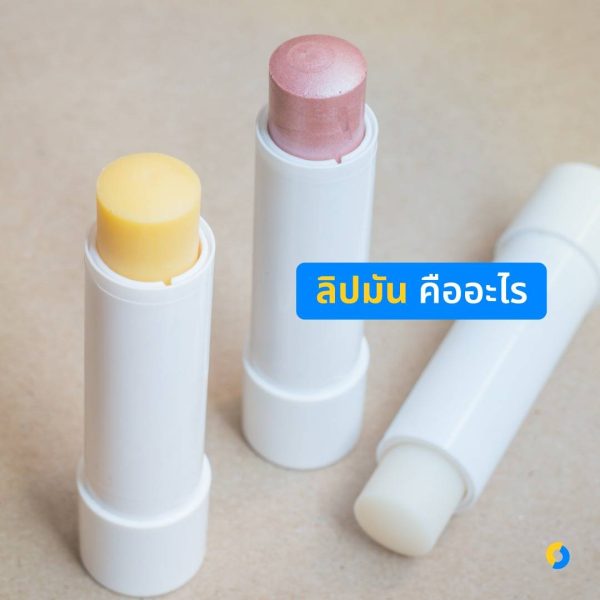 ลิปมัน คืออะไร